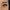 Wink 4.png